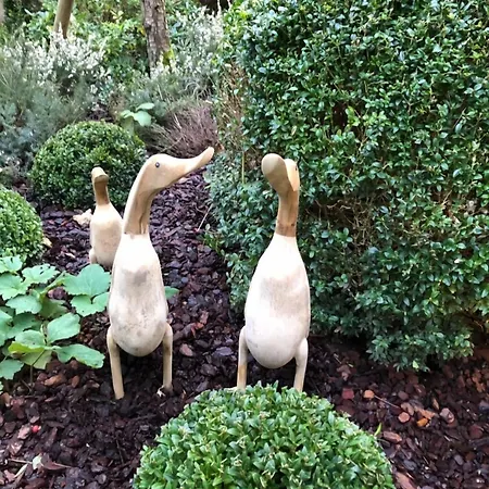 La Cour Sainte Catherine Demeure De Charme הונפלר