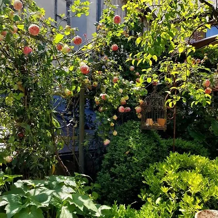 לינה וארוחת בוקר La Cour Sainte Catherine Demeure De Charme 3*