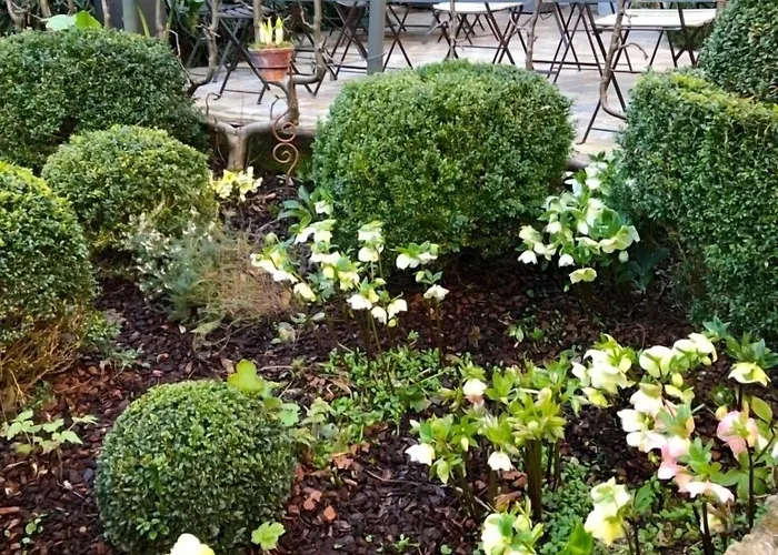 La Cour Sainte Catherine Demeure De Charme