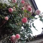 La Cour Sainte Catherine Demeure De Charme Nocleg ze śniadaniem Honfleur