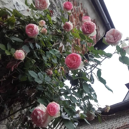 La Cour Sainte Catherine Demeure De Charme ベッド・アンド・ブレックファスト オンフルール