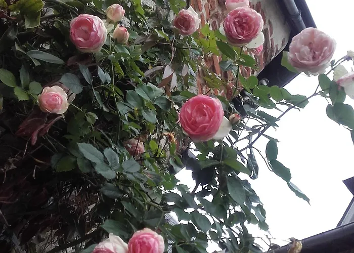 La Cour Sainte Catherine Demeure De Charme לינה וארוחת בוקר הונפלר