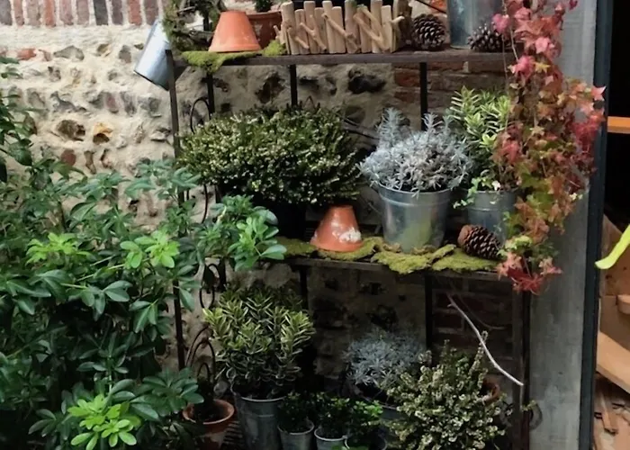 La Cour Sainte Catherine Demeure De Charme Bed and Breakfast 3*