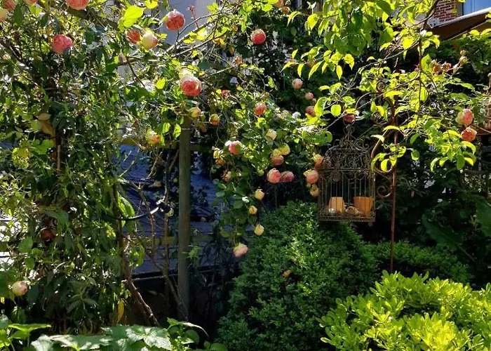 Bed and Breakfast La Cour Sainte Catherine Demeure De Charme 3*